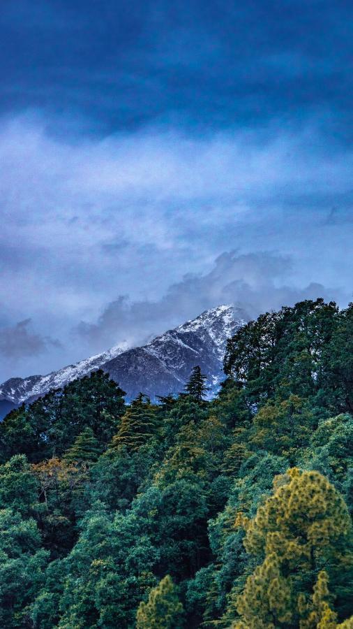 Jot Eco Boutique Stays Dharamshala Exterior foto